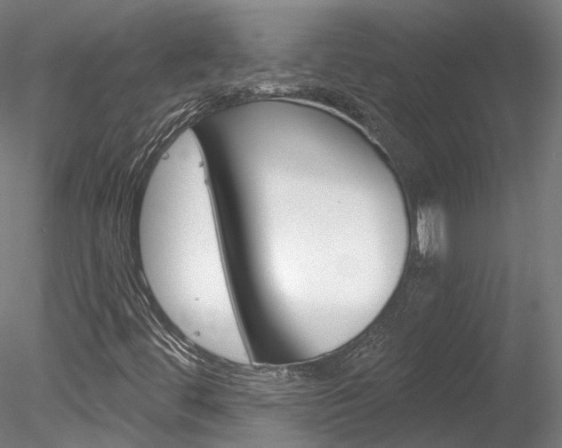 X0000078311444200611031035