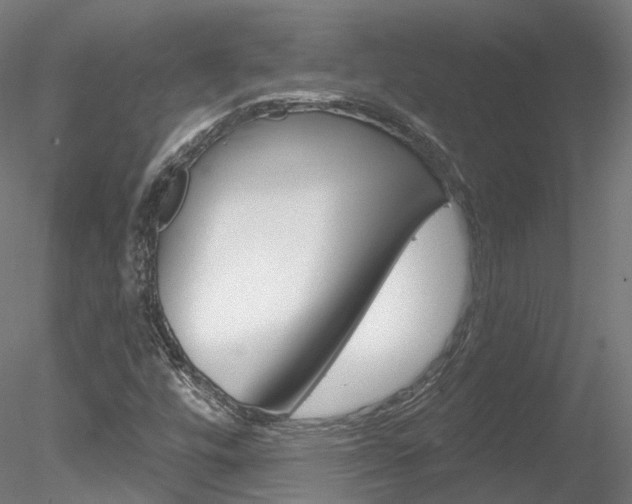 X0000078311448200611031035