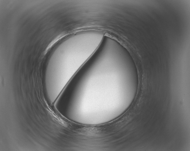 X0000078311450200611031035
