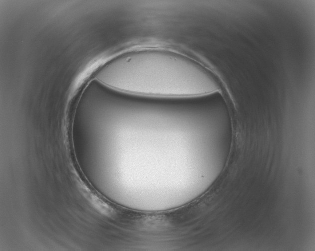 X0000078311464200611031034