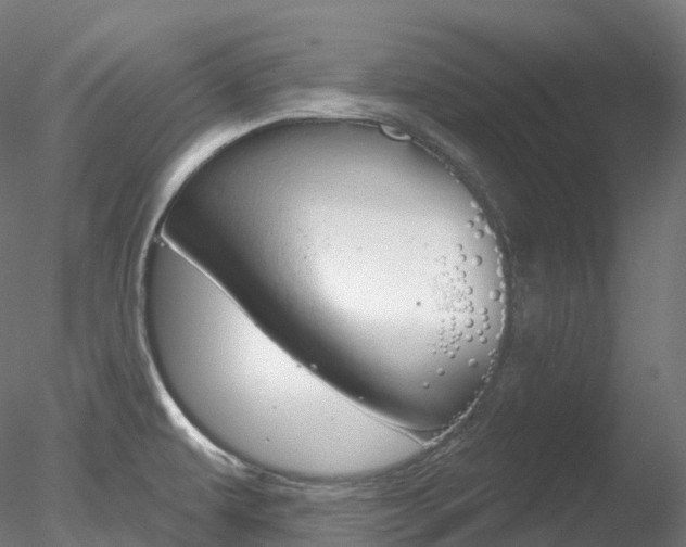 X0000078311479200611031034