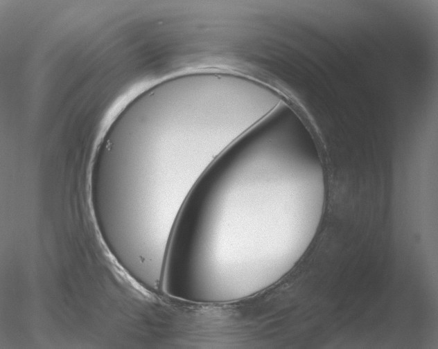 X0000078311480200611031034