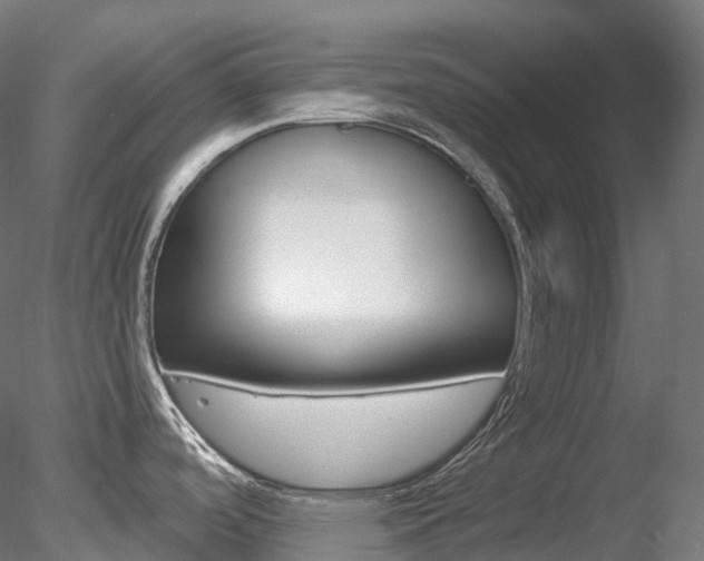 X0000078311488200611031034
