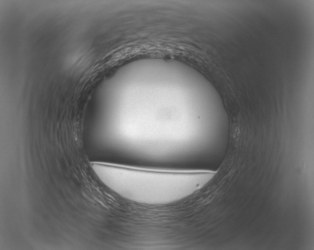 X0000078311490200611031033