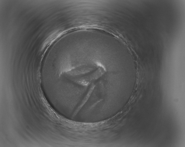 X0000078310002200611031251