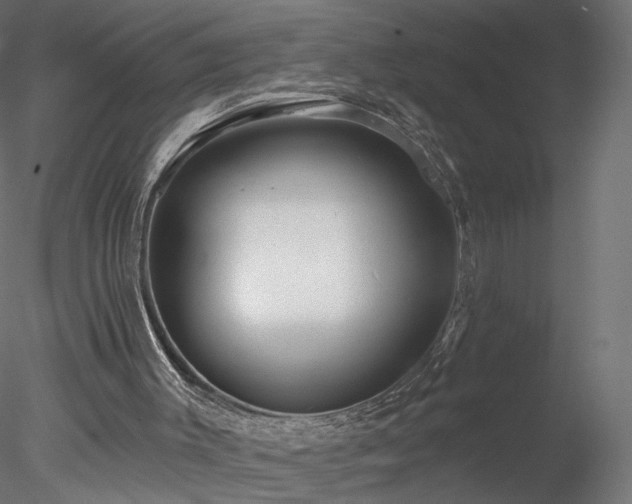X0000078310003200611031251