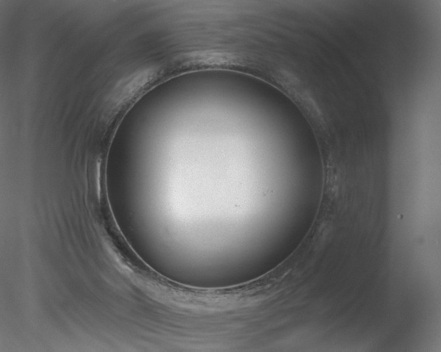 X0000078310014200611031251