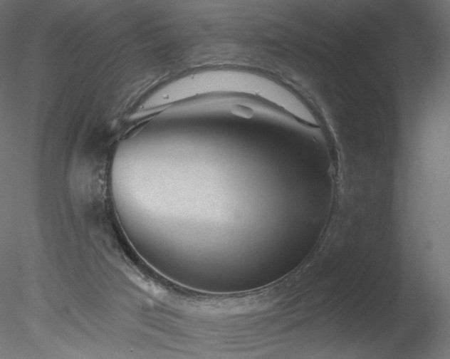 X0000078310017200611031251