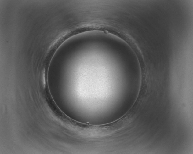 X0000078310020200611031250