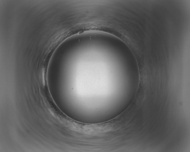 X0000078310022200611031250