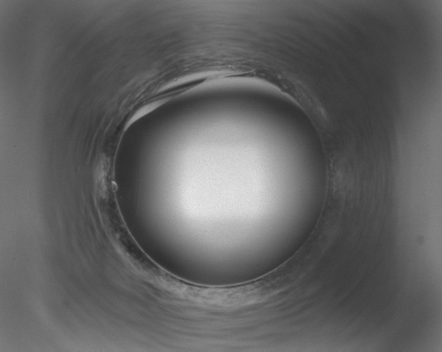 X0000078310026200611031250