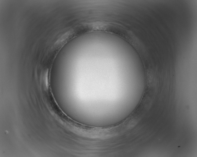 X0000078310028200611031250