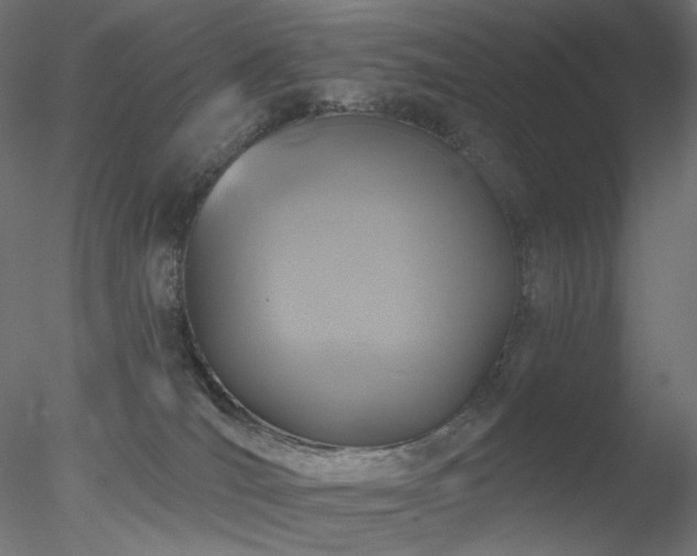 X0000078310036200611031250