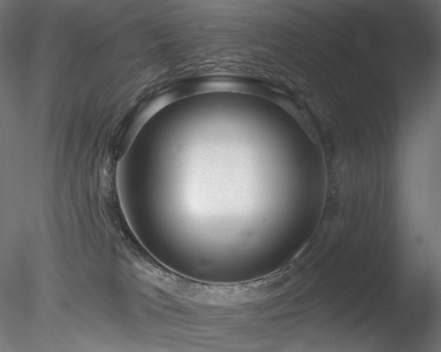 X0000078310037200611031250