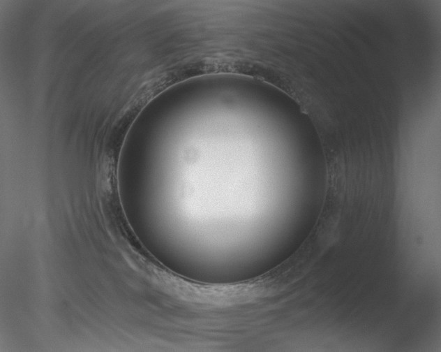 X0000078310038200611031250