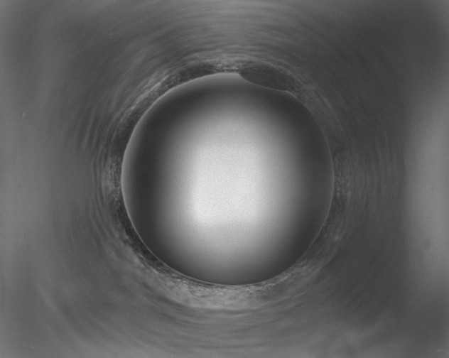 X0000078310044200611031250