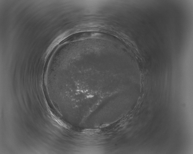 X0000078310051200611031249