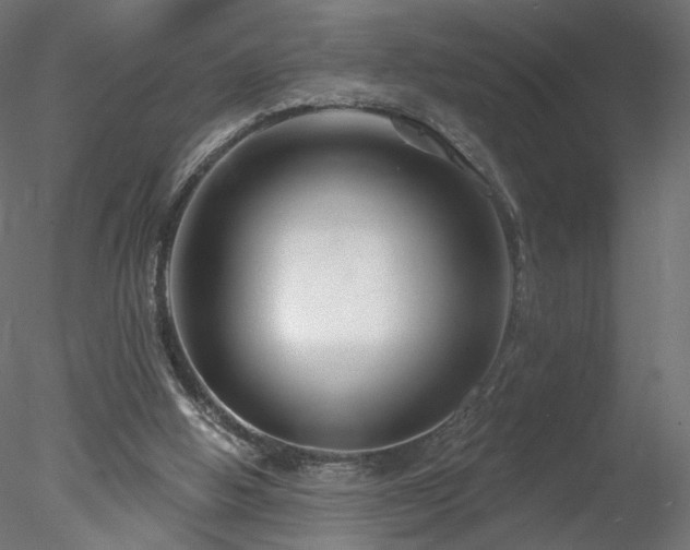 X0000078310058200611031249