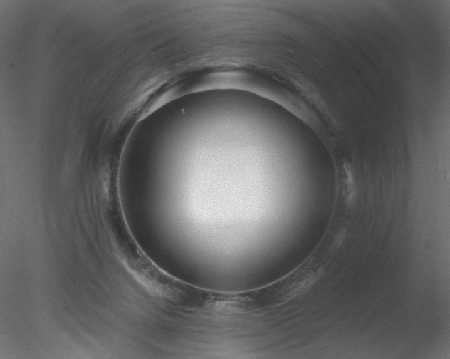 X0000078310072200611031250