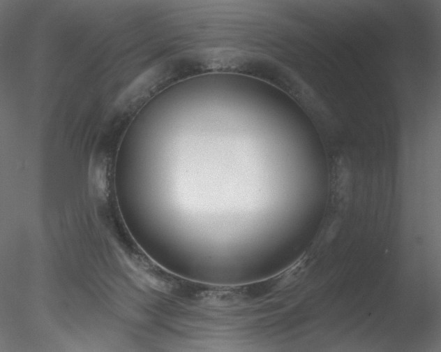 X0000078310074200611031250