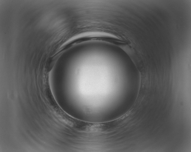 X0000078310078200611031250