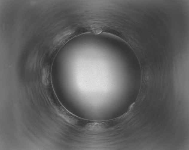 X0000078310082200611031250