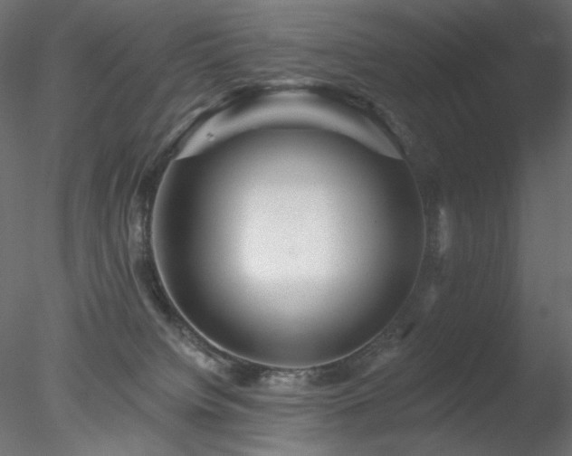 X0000078310084200611031250