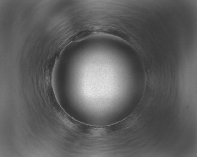 X0000078310085200611031250