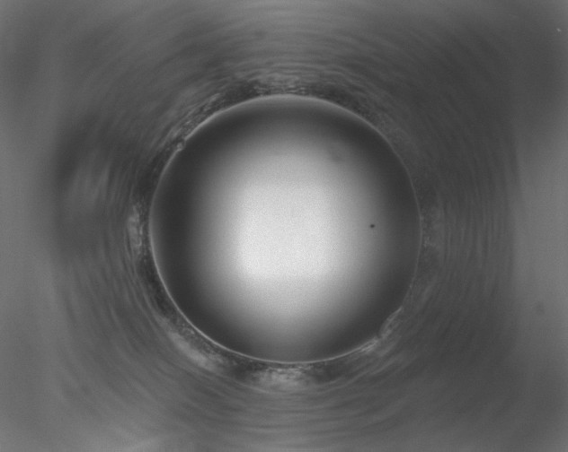 X0000078310086200611031250