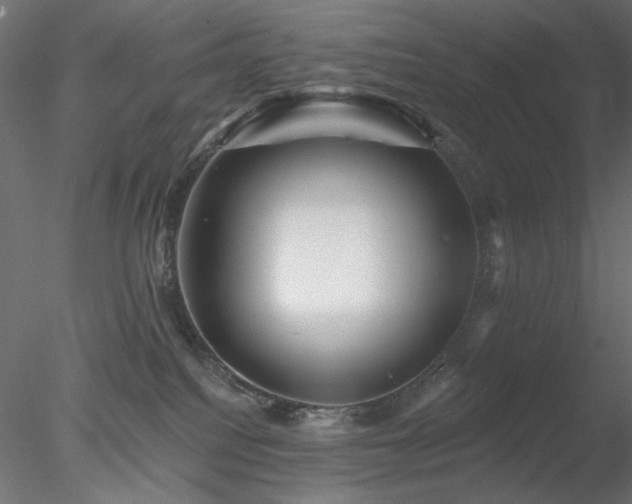 X0000078310088200611031250