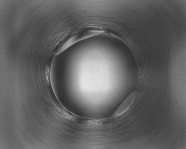 X0000078310094200611031250