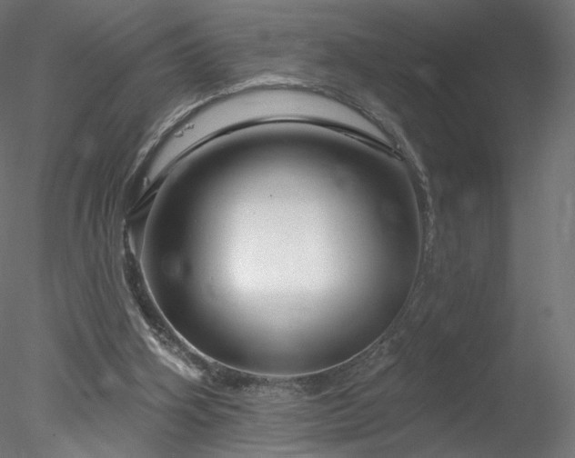 X0000078310106200611031249