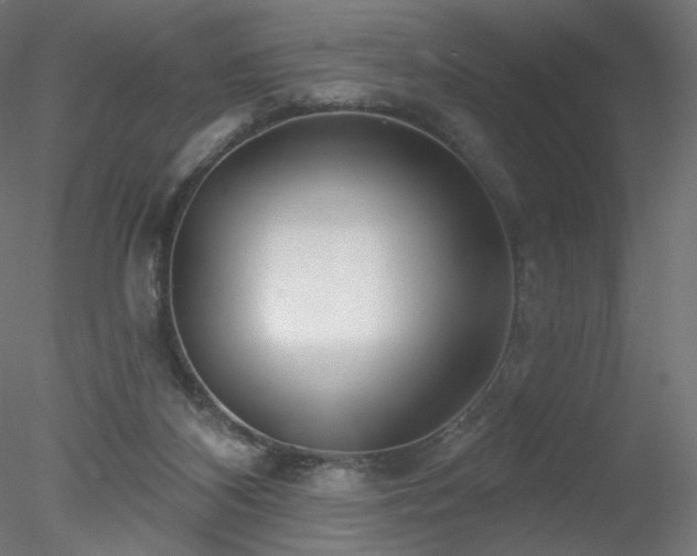 X0000078310116200611031249