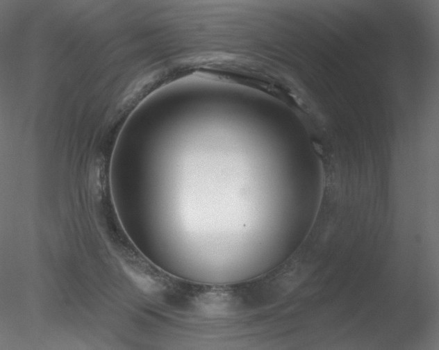 X0000078310119200611031249