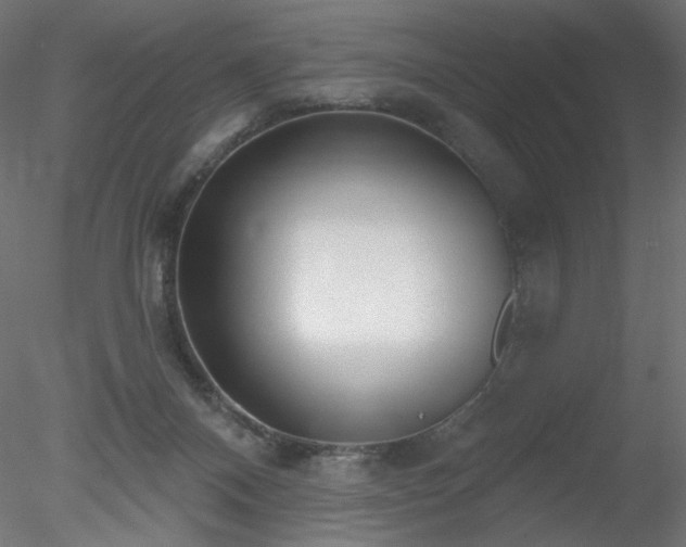 X0000078310120200611031249