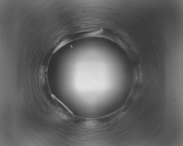 X0000078310121200611031249