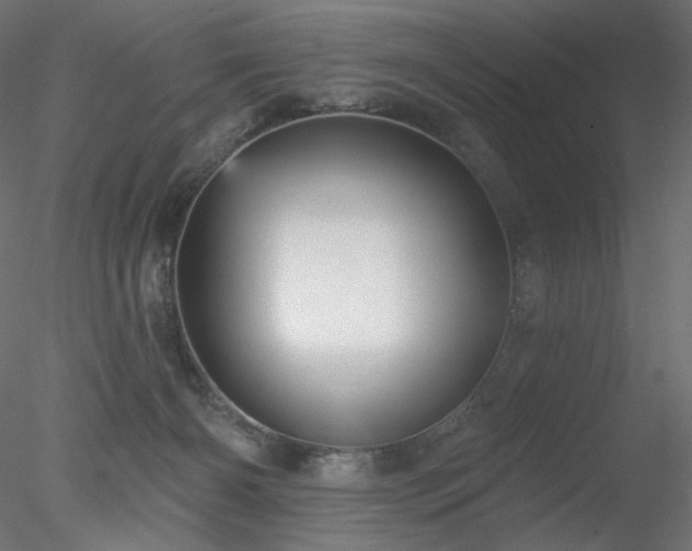 X0000078310126200611031249