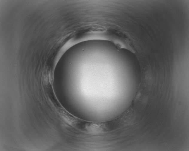X0000078310129200611031249