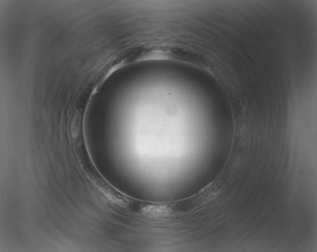 X0000078310133200611031249
