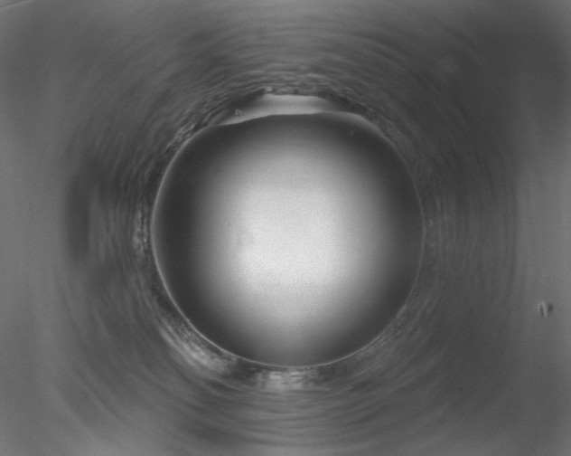 X0000078310134200611031249