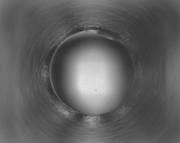 X0000078310135200611031249