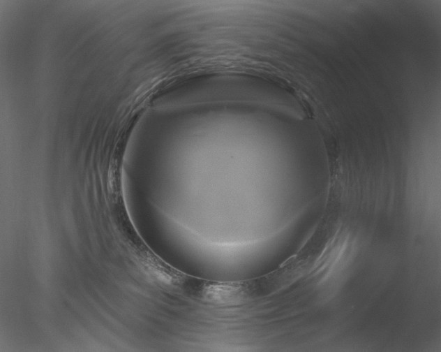 X0000078310139200611031248