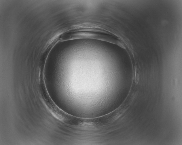 X0000078310157200611031248