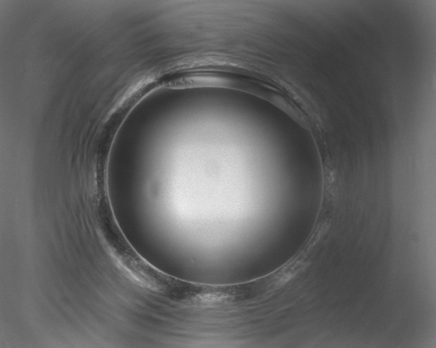 X0000078310158200611031248