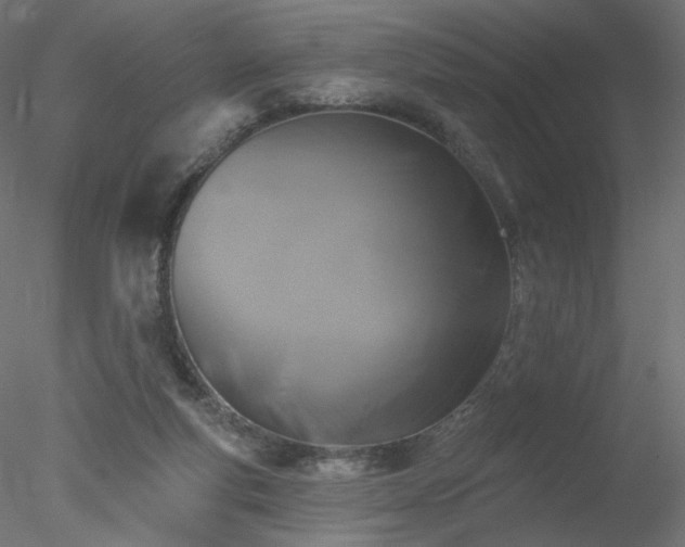 X0000078310163200611031248