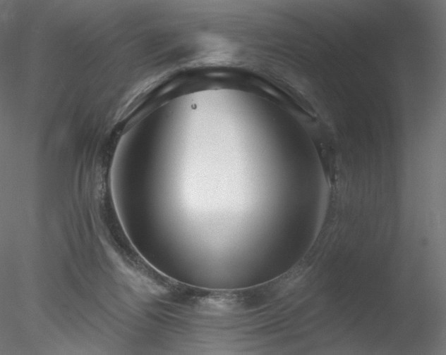 X0000078310164200611031248