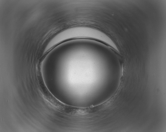 X0000078310166200611031248