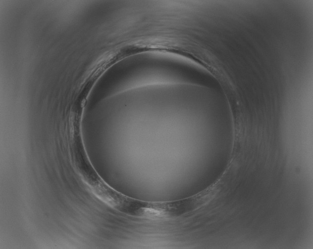 X0000078310167200611031248
