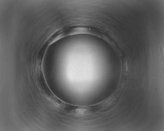 X0000078310172200611031248