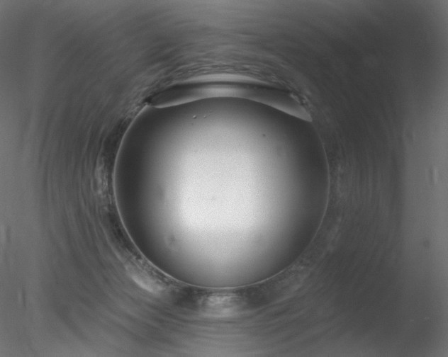 X0000078310173200611031248